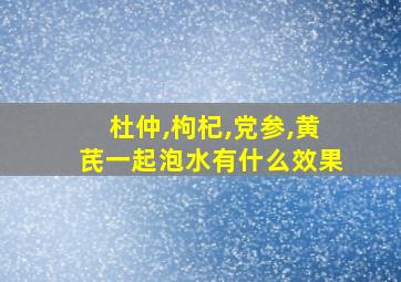 杜仲,枸杞,党参,黄芪一起泡水有什么效果