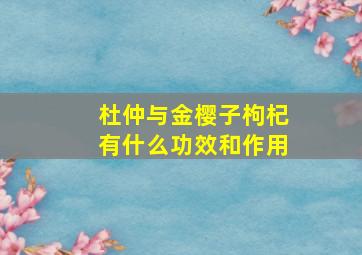 杜仲与金樱子枸杞有什么功效和作用