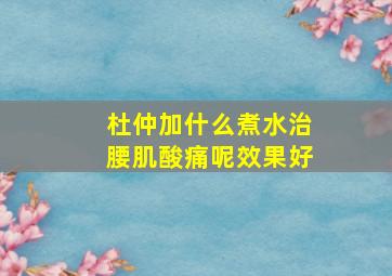 杜仲加什么煮水治腰肌酸痛呢效果好