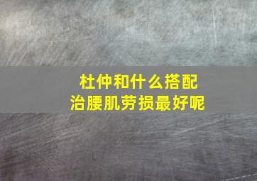 杜仲和什么搭配治腰肌劳损最好呢