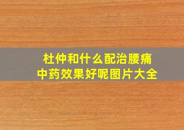 杜仲和什么配治腰痛中药效果好呢图片大全