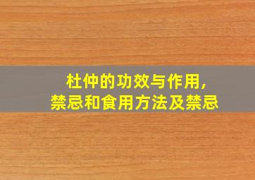 杜仲的功效与作用,禁忌和食用方法及禁忌