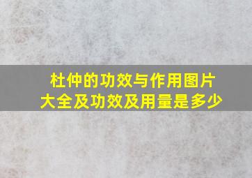 杜仲的功效与作用图片大全及功效及用量是多少