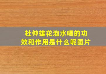 杜仲雄花泡水喝的功效和作用是什么呢图片