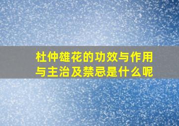 杜仲雄花的功效与作用与主治及禁忌是什么呢