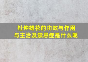 杜仲雄花的功效与作用与主治及禁忌症是什么呢