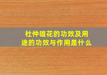 杜仲雄花的功效及用途的功效与作用是什么