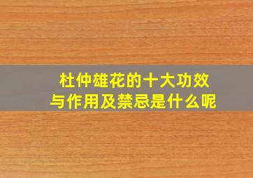 杜仲雄花的十大功效与作用及禁忌是什么呢