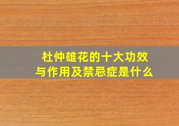 杜仲雄花的十大功效与作用及禁忌症是什么