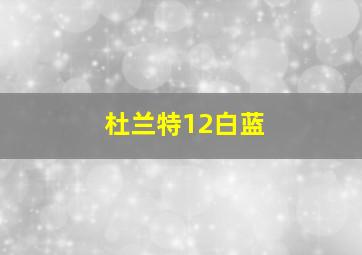 杜兰特12白蓝