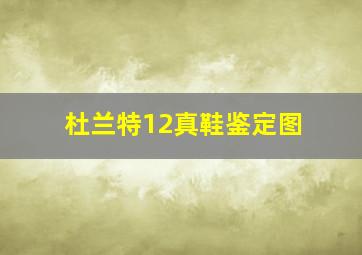 杜兰特12真鞋鉴定图