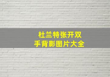 杜兰特张开双手背影图片大全