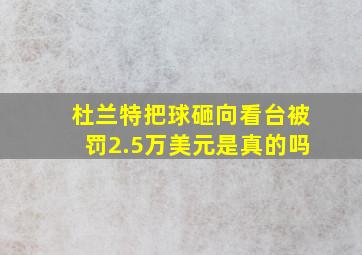 杜兰特把球砸向看台被罚2.5万美元是真的吗