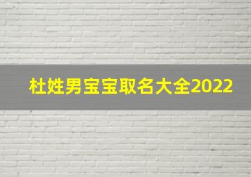 杜姓男宝宝取名大全2022