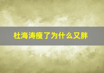 杜海涛瘦了为什么又胖