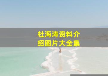 杜海涛资料介绍图片大全集