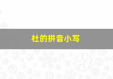 杜的拼音小写