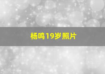 杨鸣19岁照片