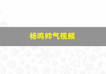 杨鸣帅气视频