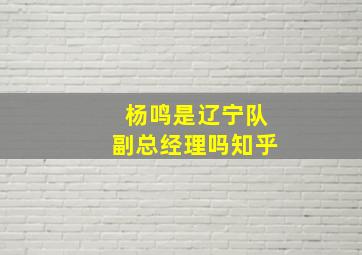 杨鸣是辽宁队副总经理吗知乎