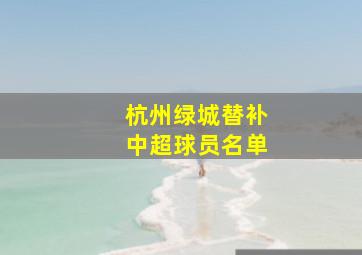 杭州绿城替补中超球员名单