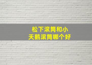 松下滚筒和小天鹅滚筒哪个好