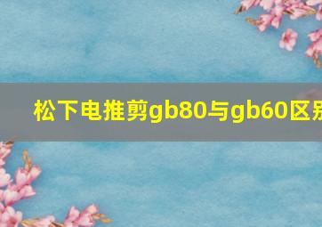 松下电推剪gb80与gb60区别