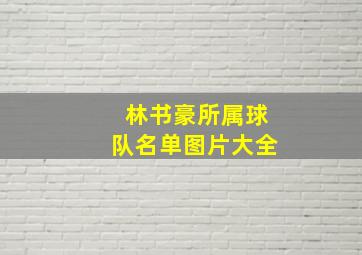 林书豪所属球队名单图片大全