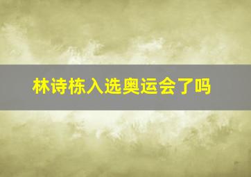 林诗栋入选奥运会了吗