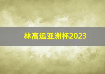 林高远亚洲杯2023