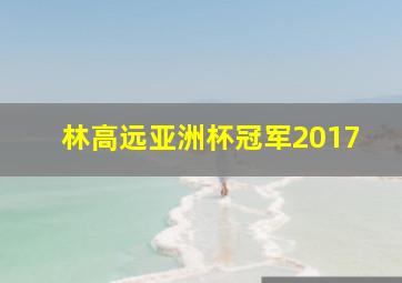 林高远亚洲杯冠军2017