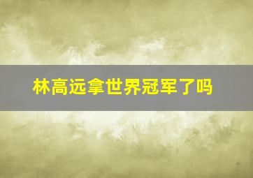 林高远拿世界冠军了吗