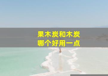 果木炭和木炭哪个好用一点