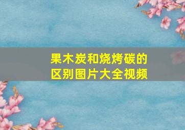 果木炭和烧烤碳的区别图片大全视频