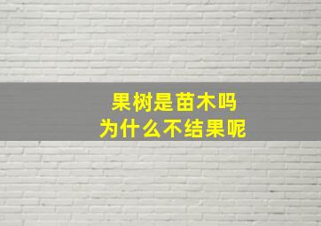 果树是苗木吗为什么不结果呢