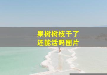 果树树枝干了还能活吗图片