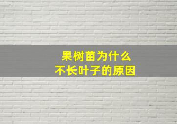 果树苗为什么不长叶子的原因