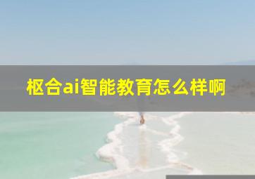 枢合ai智能教育怎么样啊