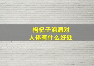 枸杞子泡酒对人体有什么好处