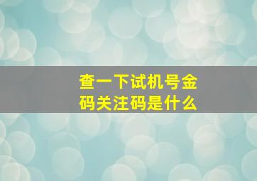 查一下试机号金码关注码是什么