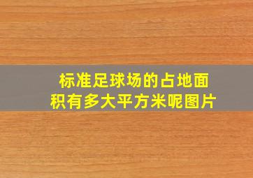 标准足球场的占地面积有多大平方米呢图片