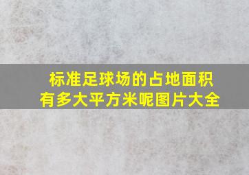 标准足球场的占地面积有多大平方米呢图片大全