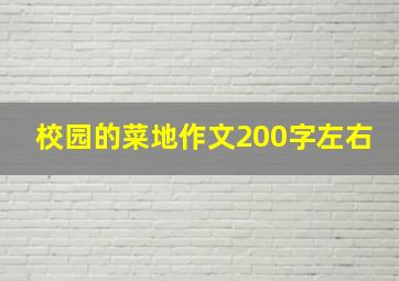 校园的菜地作文200字左右