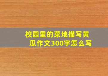 校园里的菜地描写黄瓜作文300字怎么写