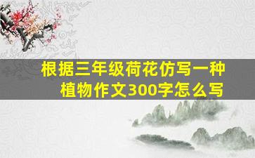 根据三年级荷花仿写一种植物作文300字怎么写