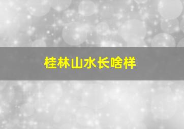 桂林山水长啥样