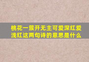 桃花一簇开无主可爱深红爱浅红这两句诗的意思是什么