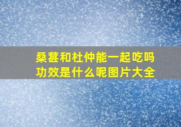 桑葚和杜仲能一起吃吗功效是什么呢图片大全