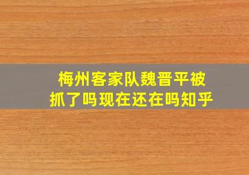 梅州客家队魏晋平被抓了吗现在还在吗知乎