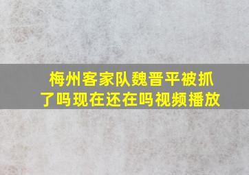 梅州客家队魏晋平被抓了吗现在还在吗视频播放